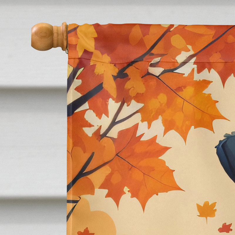 Drapeau de maison en polyester à double face H 40 po x l 28 po