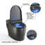 Toilettes monobloc intelligentes en céramique grise avec bidet intégré et ouverture/fermeture automatique de l'abattant