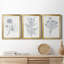 Indigo Botany Study IV - Ensemble de 3 peintures sur toile encadrées-1171059435-1171059430