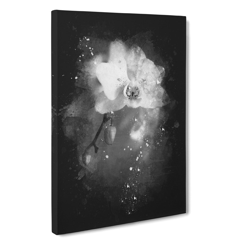 Pretty White Orchid - Wrapped Canvas Painting, 76cm H x 50cm W x 3cm D
