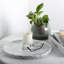 Plateau rond en marbre naturel Guein, Arabescato