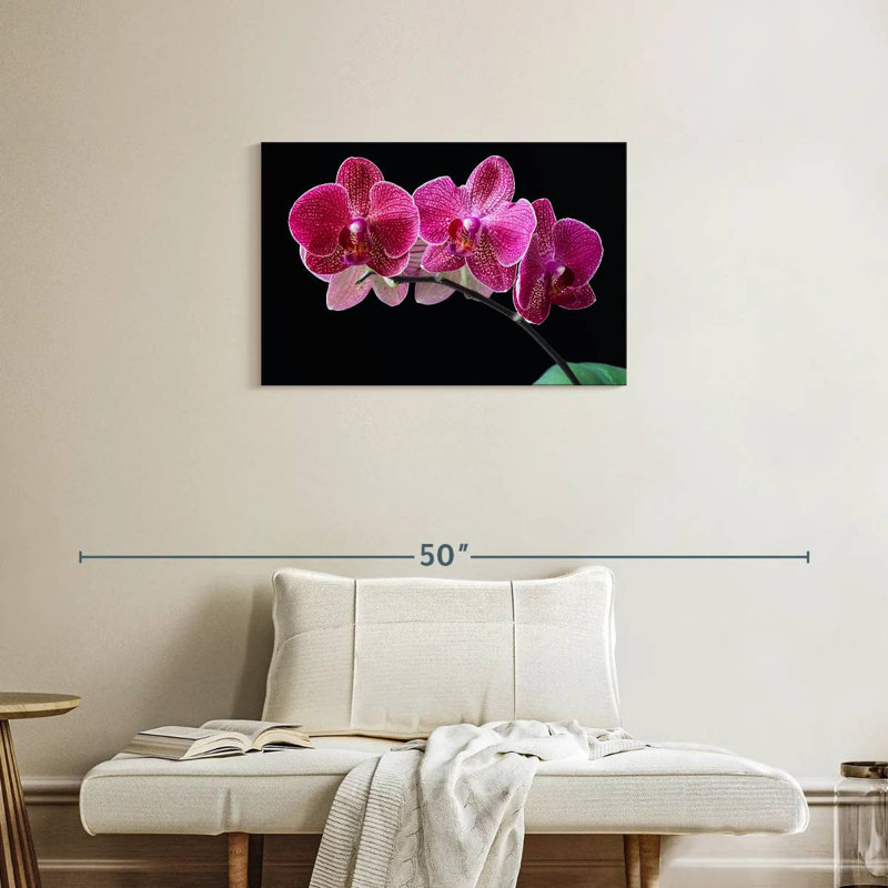 Orchidée mauve, H 20 po x l 30 po
