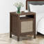 Neerav End Table