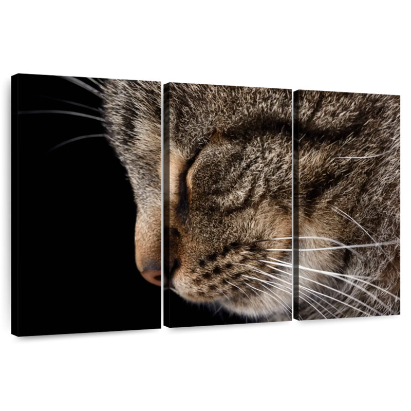 Chat tigré endormi, H 42 po x l 65 po