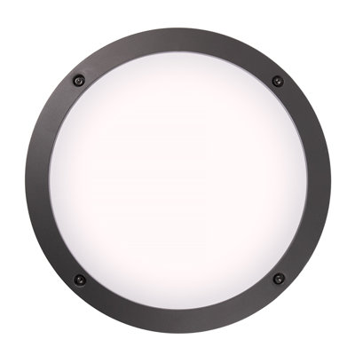 Witteride 30cm H Outdoor Ceiling Light