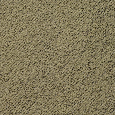 Genevieve Indoor Rug