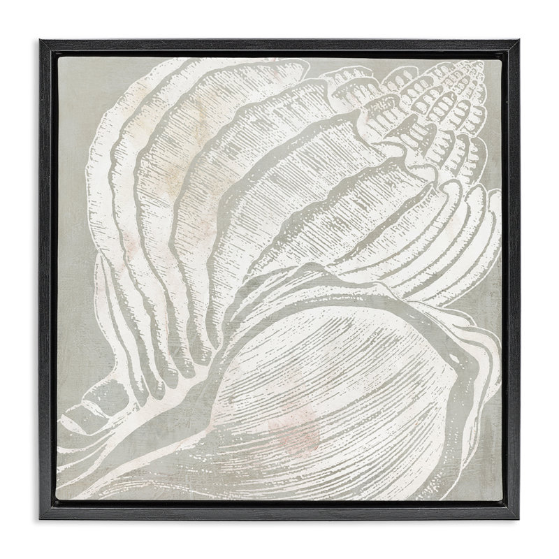 «Beige Conch» par Carol Robinson, Cadre flottant noir de jais, H 18 po x l 18 po