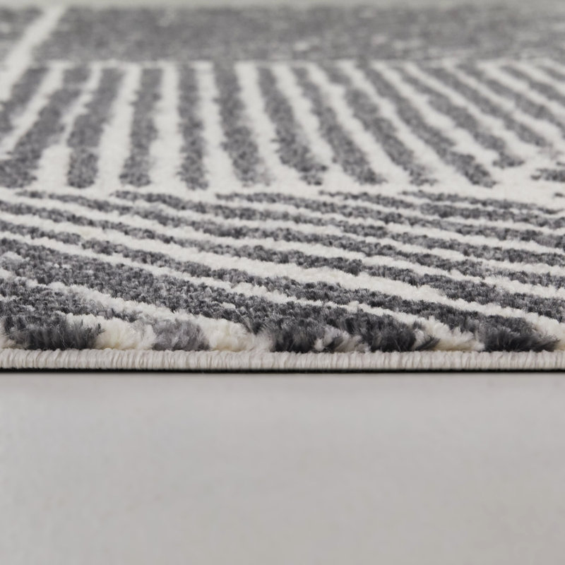 Tapis gris anthracite Jerome, Rectangle 5 pi 3 po x 7 pi