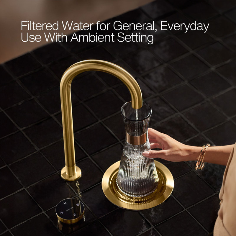 Aquifer4-In-1 Tall Arc Beverage Faucet, Stainless Steel