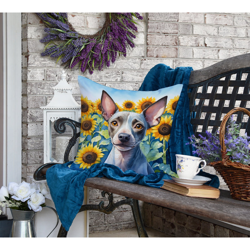 Other/No Pattern Reversible Throw Pillow, 18"H x 18"W