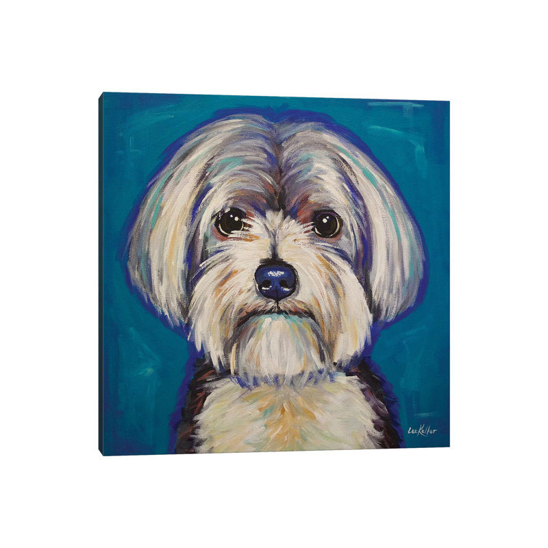 Morkie - Wrapped Canvas Print, 93.98 cm H x 93.98 cm W x 3.175 cm D