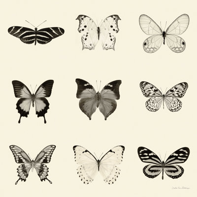 Papillon BW 9 Patch