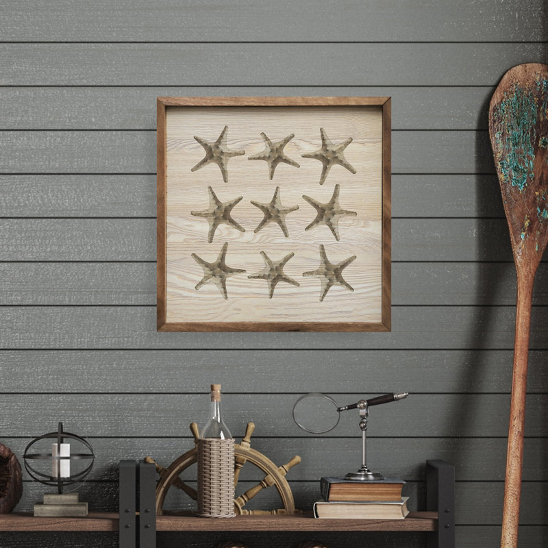 Étoiles de mer blanchies à la chaux, 16" H x 16" W