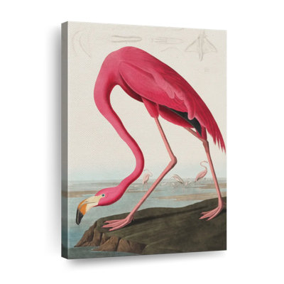 Flamant américain sur toile