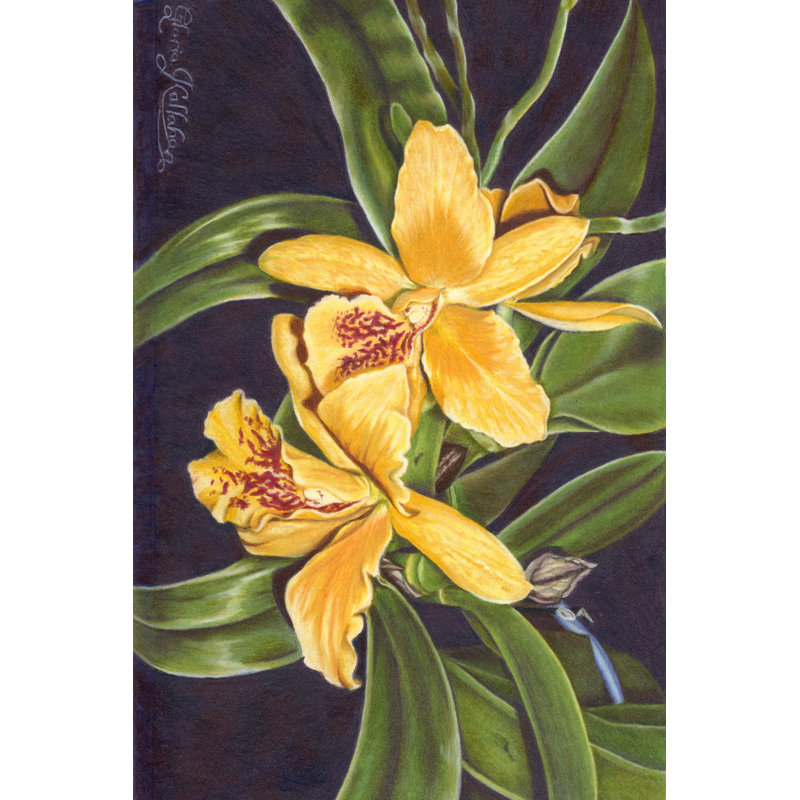 Vibrant Orchid I by Gloria J. Callahan - Wrapped Canvas Art Prints, 76cm H x 51cm W x 3.8cm D