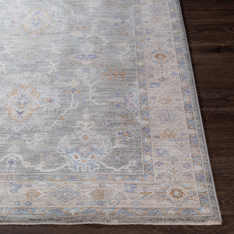 Mathewson Oriental Indoor Rug, Rectangle 2' x 3'11"