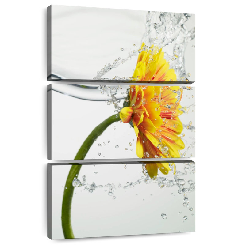 Harnek Daisy Water Splash, H 32 po x l 20 po