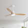 52" Nicola 3 - Blade LED Propeller Ceiling Fan with Remote Control and Light Kit Included