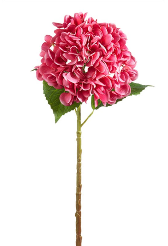Hydrangea Arrangement
