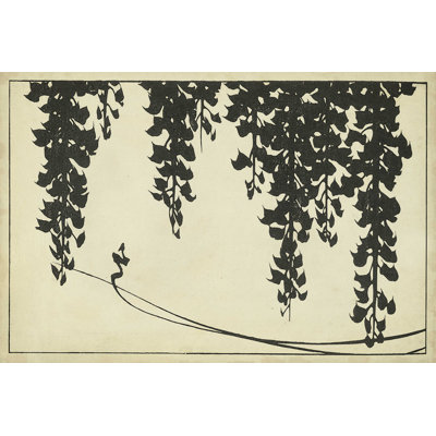 " Japanese Wisteria II A "