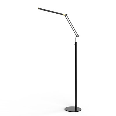 47'' Black LED Task Floor Lamp