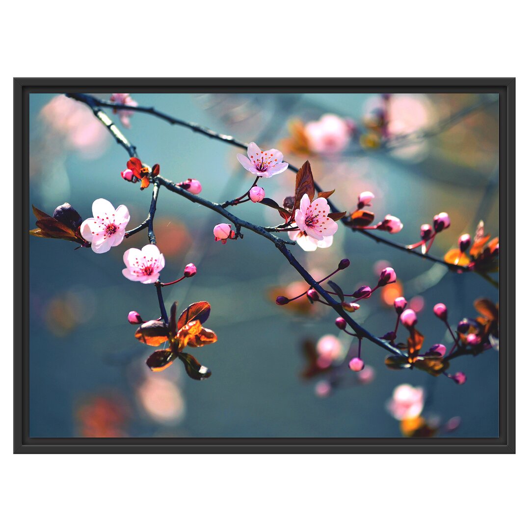 Gerahmtes Wandbild Exotische Sakura Blüten