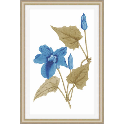 Midsummer Zeal 1 Framed Print