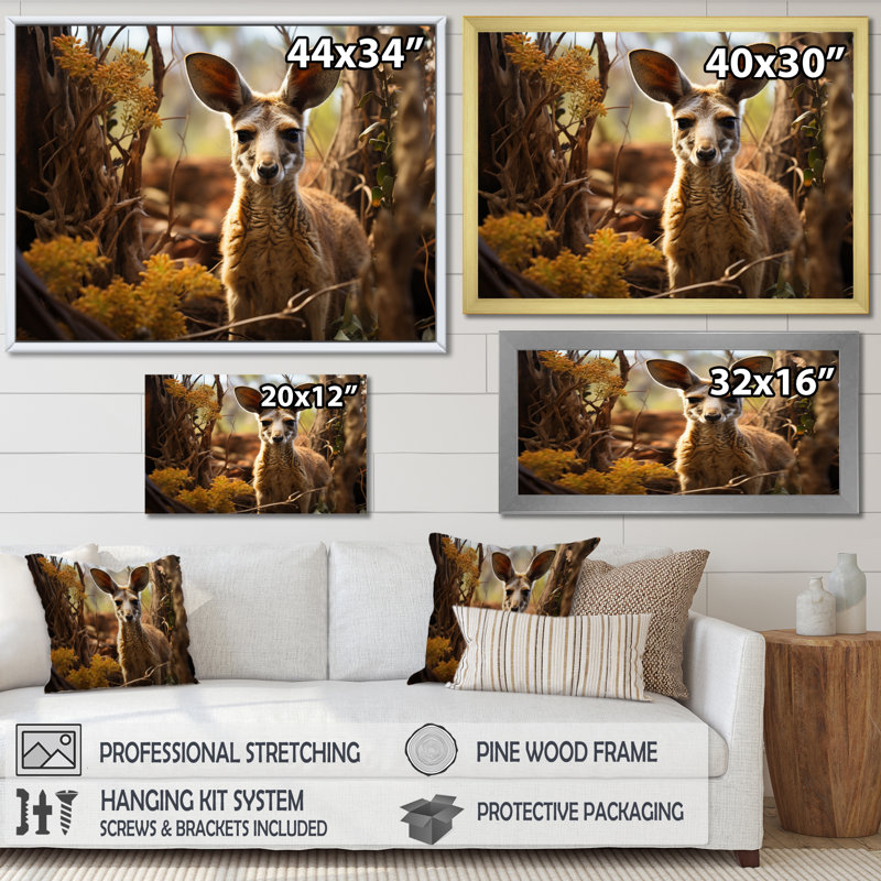 " Kangaroo Portrait ", White Floater Framed, 24" H x 32" W x 1" D