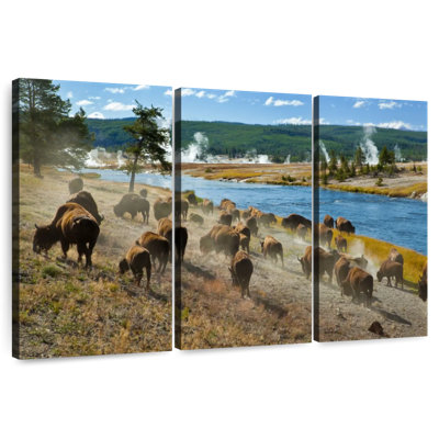 Troupeau de bisons Brampt