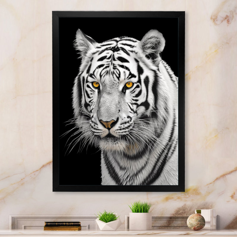 Tigre blanc féroce V - animaux, art mural sur toile, Cadre photo noir, H 32 po x l 16 po