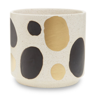 Debron Ceramic Indoor Pot Planter