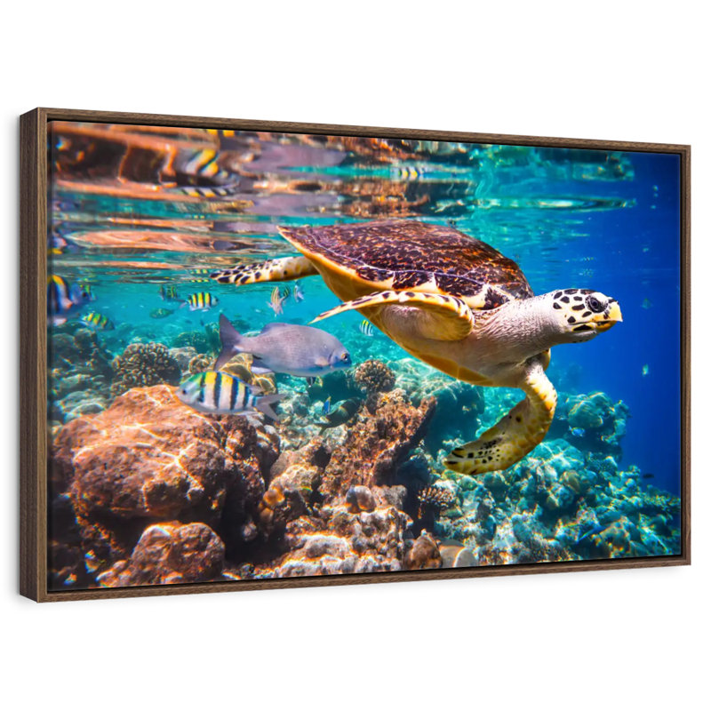 Vivid Sea Life, 46" X 31", Floating Frame Walnut