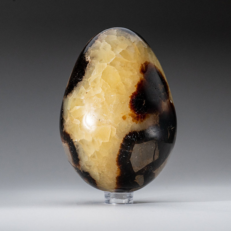 Genuine Polished Septarian (3") Egg from Madagascar