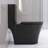 1.1/1.6 GPF Elongated Comfort Seat Height One Piece Dual-Flush Toilet-106436880