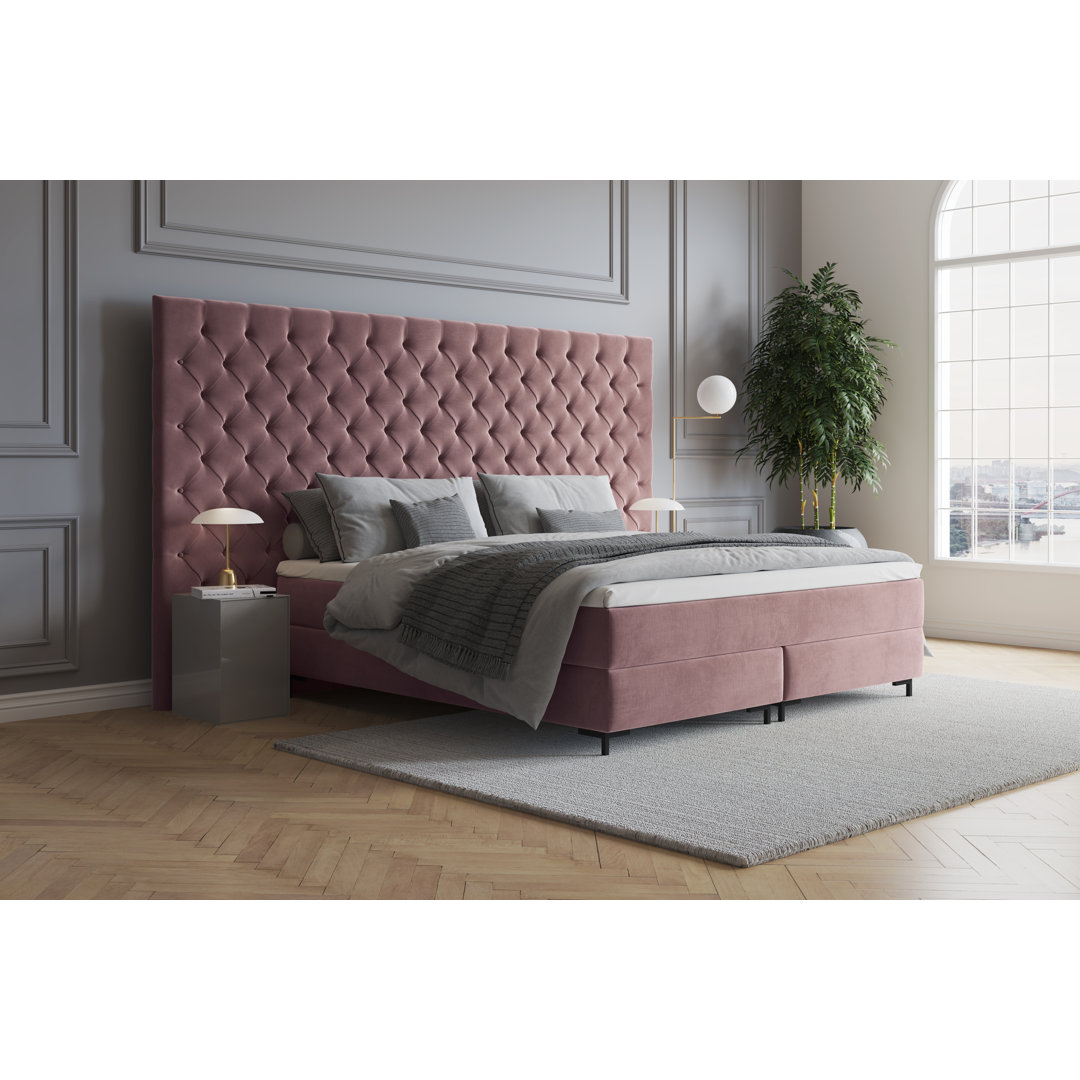 Echtes Boxspringbett Ajala mit Premium Visco Topper, mit Samtstoff bezogen