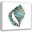 "Dovecove Zarris", art graphique sur toile tendue Chariklia: Aquarelle Shells I-388472600