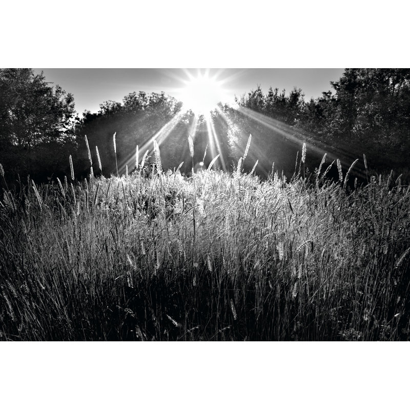 Reaching For The Sky - Wrapped Canvas Art Prints, 30cm H x 46cm W x 3.8cm D