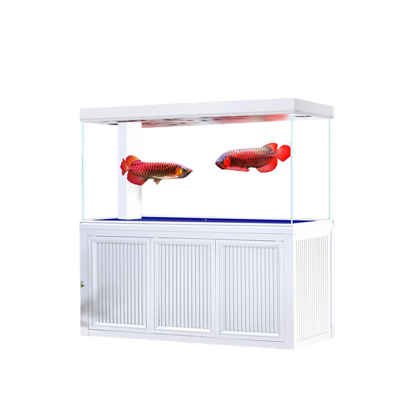 Réservoir d'aquarium rectangulaire simple et moderne Eco, 155 gallons (H 63 po x l 59 po x P 19,6 po), Blanc