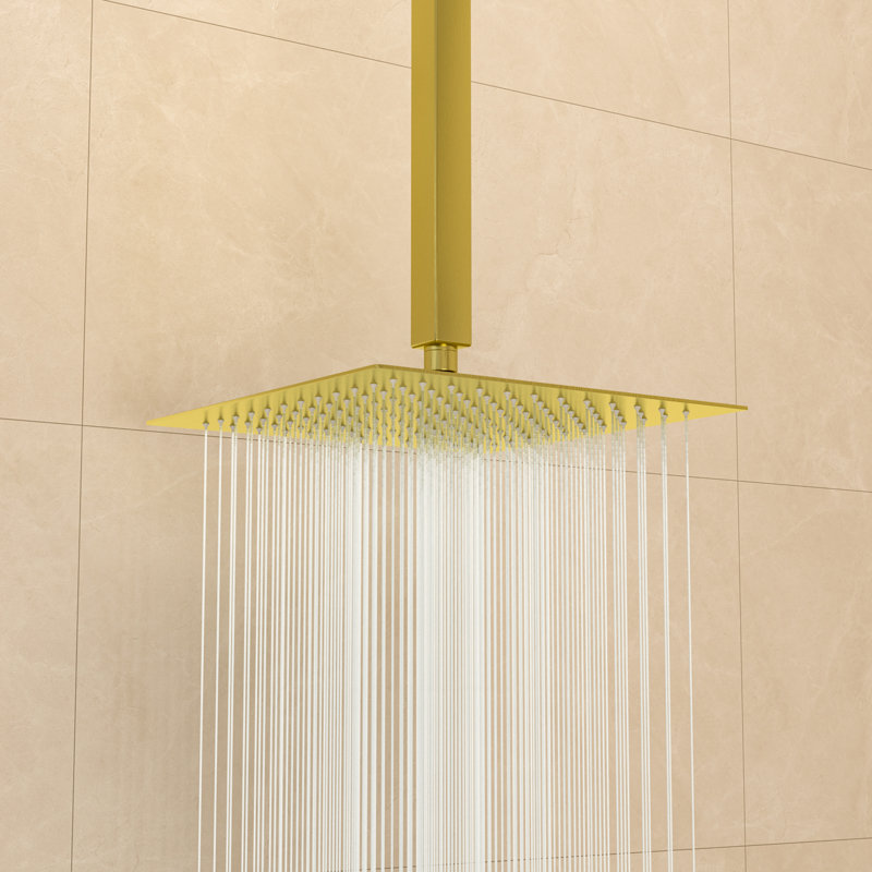 Rain Rain Shower Head 1.8 GPM GPM, Gold