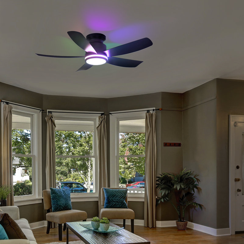 41" Modern 5-blade Flush Mount Indoor Ceiling Fan With Light And Remote/app Control, Black-RGB