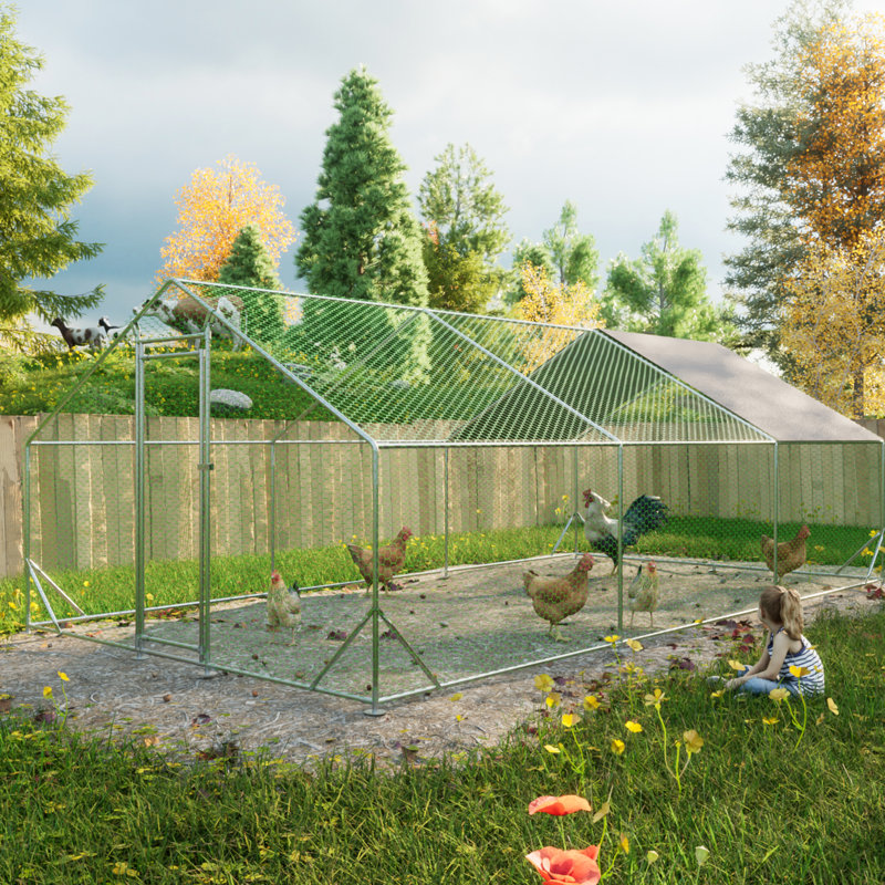 Cage à poulets avec couvercle amovible et imperméable à l'eau pour l'extérieur