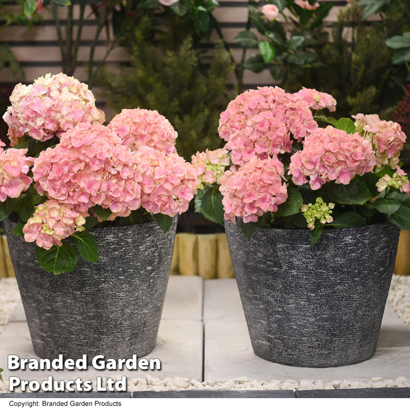 Porfire Plant Pot - Twin Pack