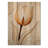 Orange Twilight Tulip Garden - Traditional Wooden Wall Art On Natural Pine Wood-673514286