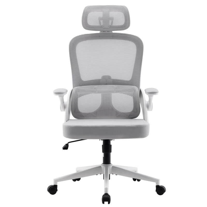 Ergonomic Mesh Office Chair with Adjustable Lumbar Support and Padded Armrests, for 5'3" to 6'6", Light Gray, White