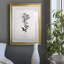 Simplement Cape Plomb - Reproduction d'art sur papier encadrée-1456636586-1456636587