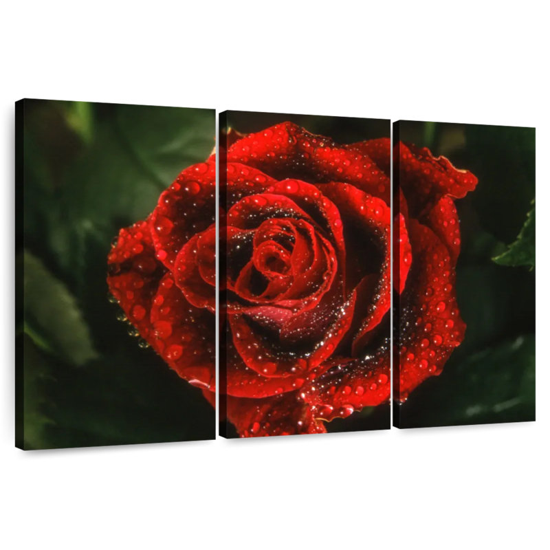 Harnek Elegant Dewy - rose rouge, H 20 po x l 33 po