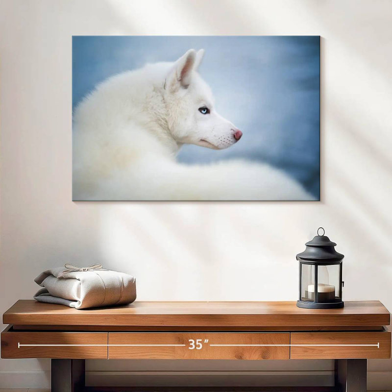 Husky blanc pur, H 16 po x l 24 po