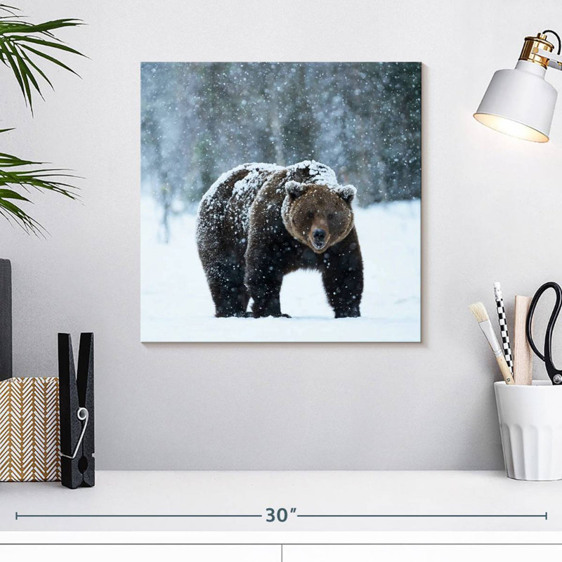 Crowle Winter Brown Bear, 16" H x 16" W