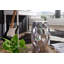 Saul End Table-37466078