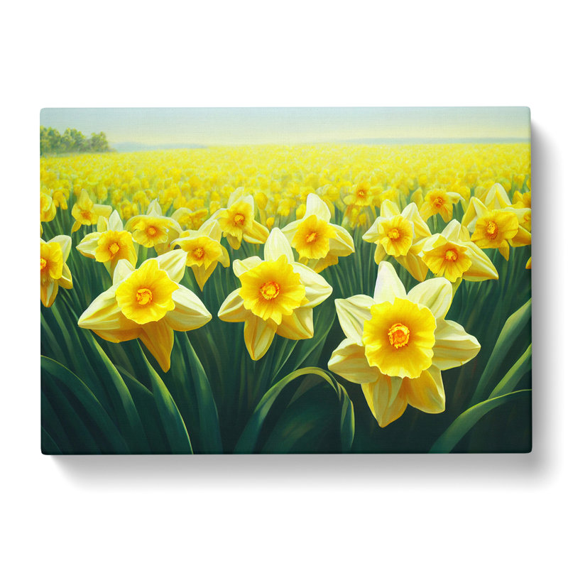 Virtuous Daffodil Flowers - Wrapped Canvas, 35cm H x 50cm W x 3cm D